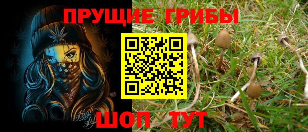 Галлюциногенные грибы прущие грибы  Галлюциногенные грибы Psilocybine cubensis  Азов  Вход с VPN 